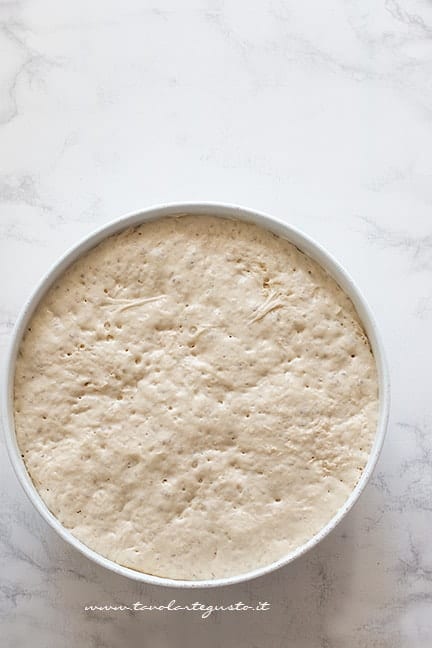 Impasto lievitato - Ricetta Focaccia