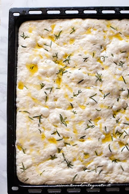 focaccia fatta in casa - Ricetta Focaccia