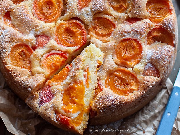 Torta di albicocche - Ricetta Torta di albicocche fresche