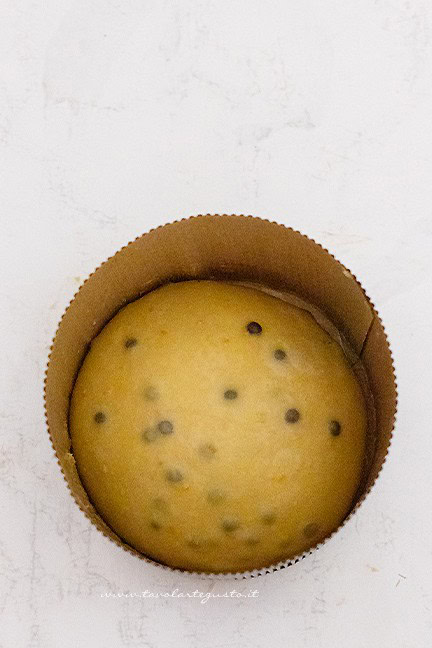 panettone al cioccolato in lievitazione