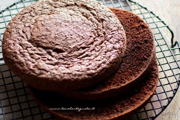 Pan di spagna al cioccolato