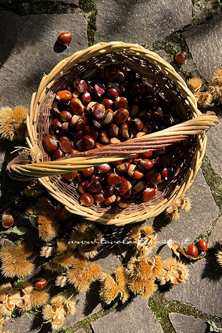 quali castagne scegliere per marmellata di castagne