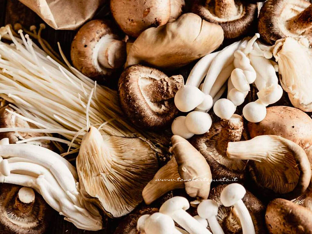 Ricette con i funghi di Tavolartegusto
