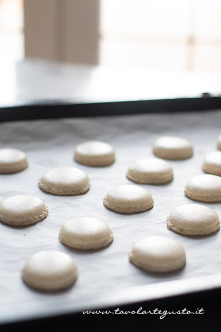 gusci dei macarons sfornati