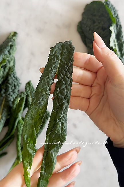 cavolo nero pulito