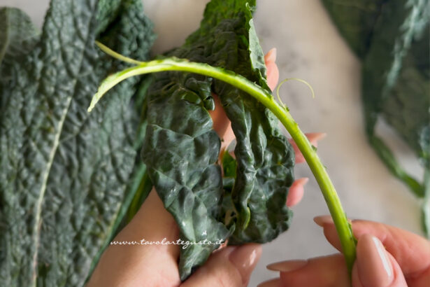 come pulire il cavolo nero