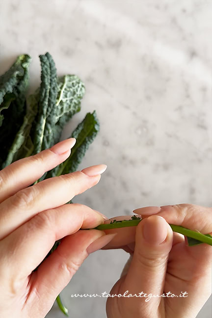 pulire il cavolo nero 1