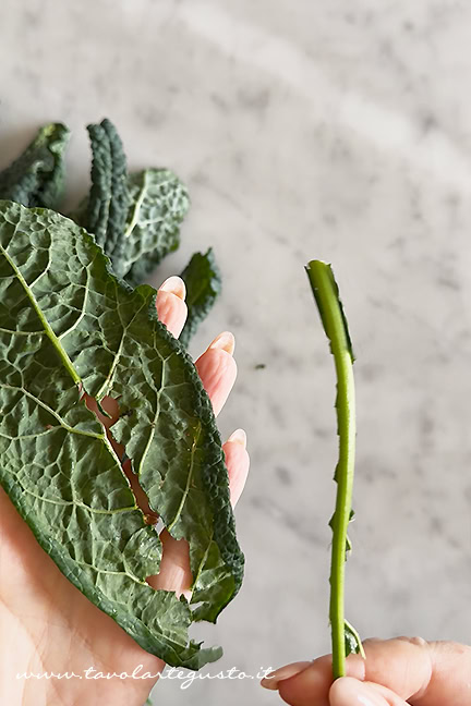 pulire il cavolo nero 2