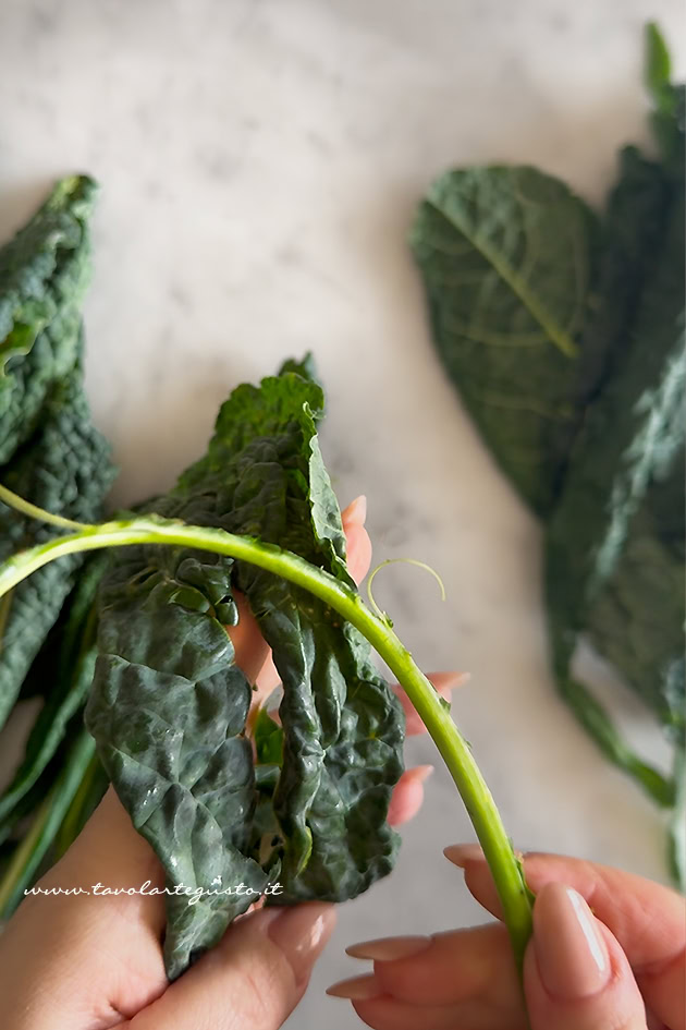 pulire il cavolo nero 3
