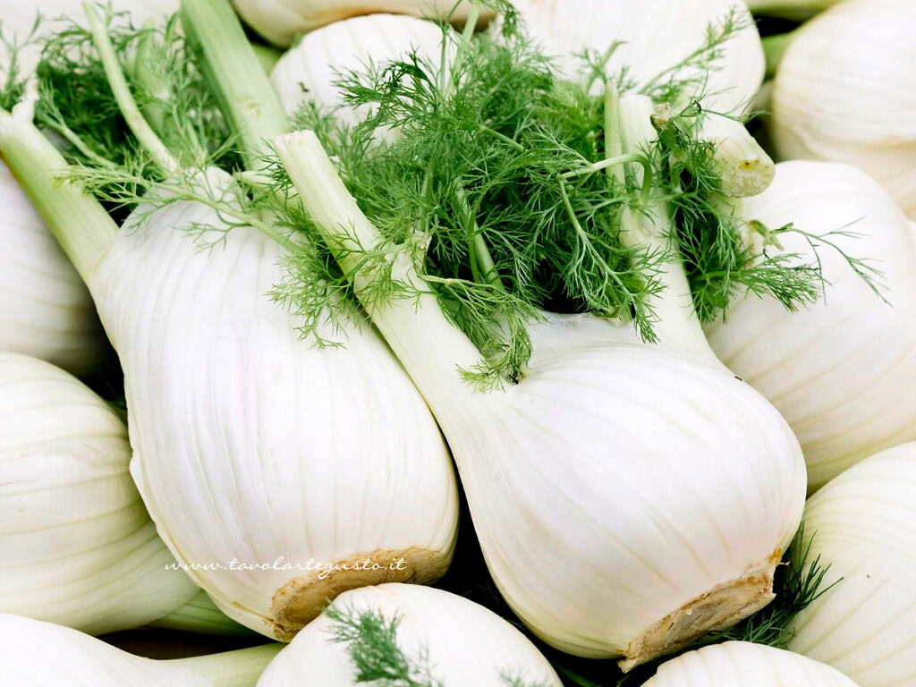 Ricette con finocchi di Tavolartegusto