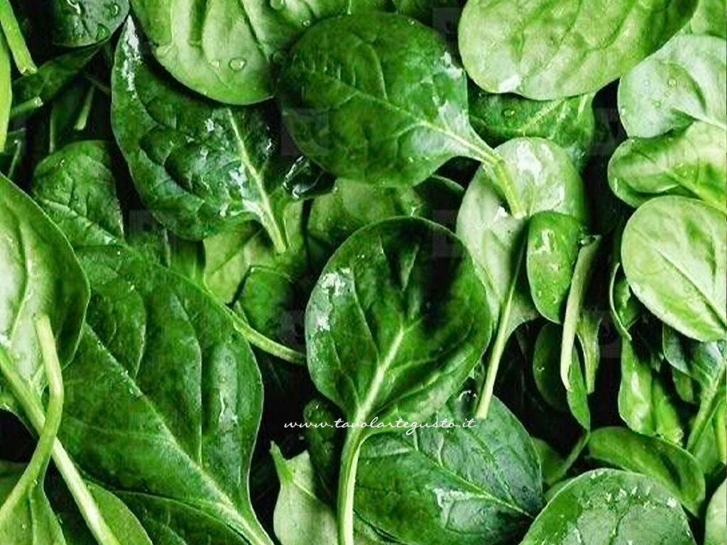 Ricette con spinaci