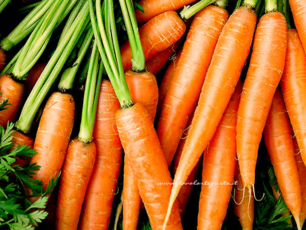 Ricette con le carote di Tavolartegusto